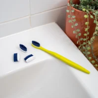 têtes brosse à dents recharegable