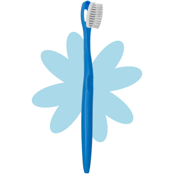 brosse à dents rechargeable bleu souple