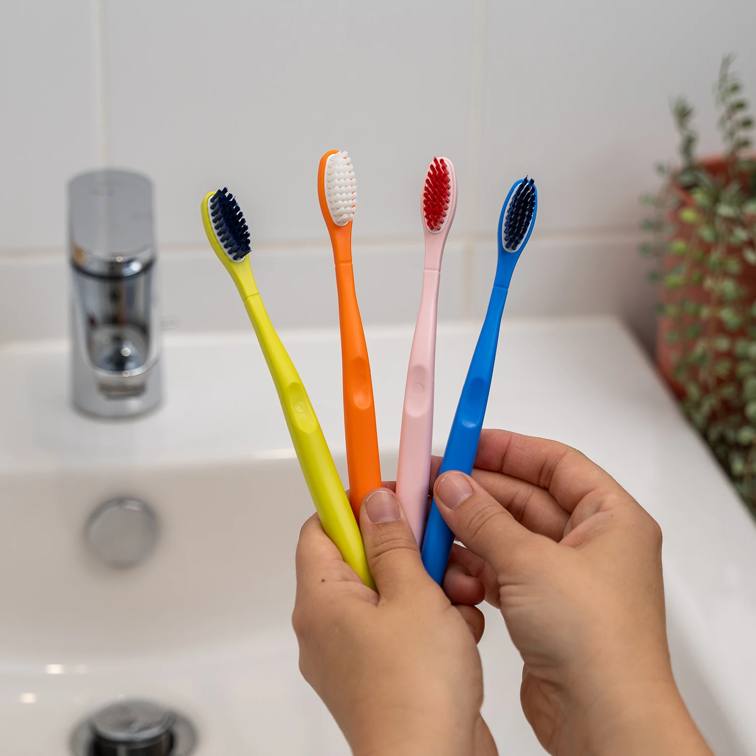 Brosses Dents Fran aises De La T te Aux Poils Ehop